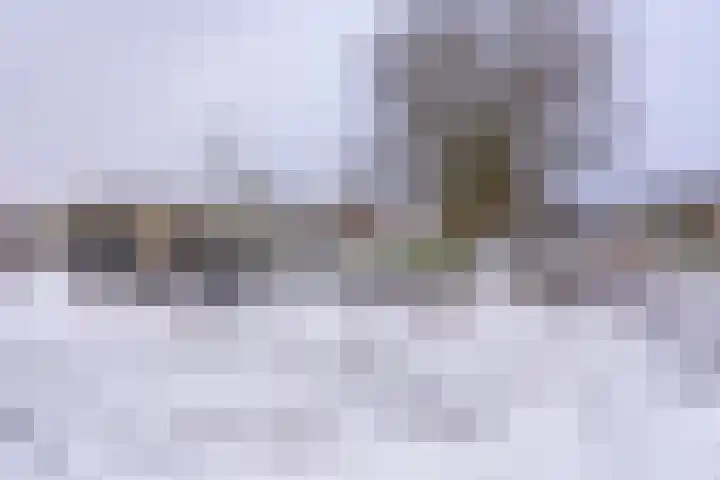 Johannes Vermeerlaan 17 A Musselkanaal thumbnail 12