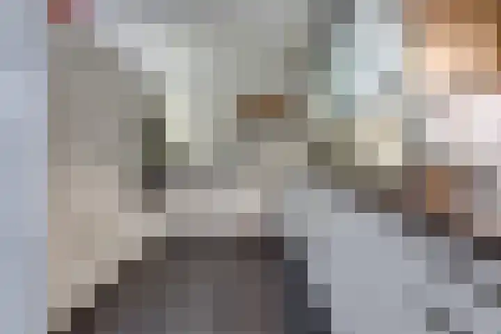 Johannes Vermeerlaan 17 A Musselkanaal thumbnail 19