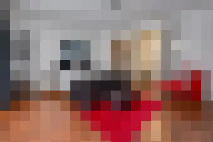 Johannes Vermeerlaan 17 A Musselkanaal thumbnail 26