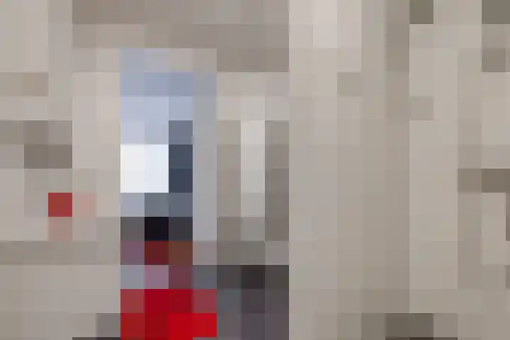 Johannes Vermeerlaan 17 A Musselkanaal thumbnail 31