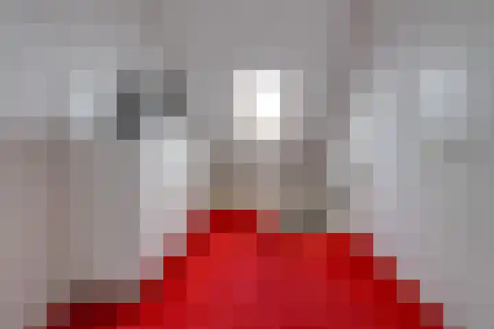 Johannes Vermeerlaan 17 A Musselkanaal thumbnail 35