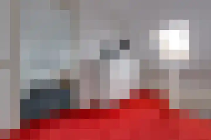 Johannes Vermeerlaan 17 A Musselkanaal thumbnail 36