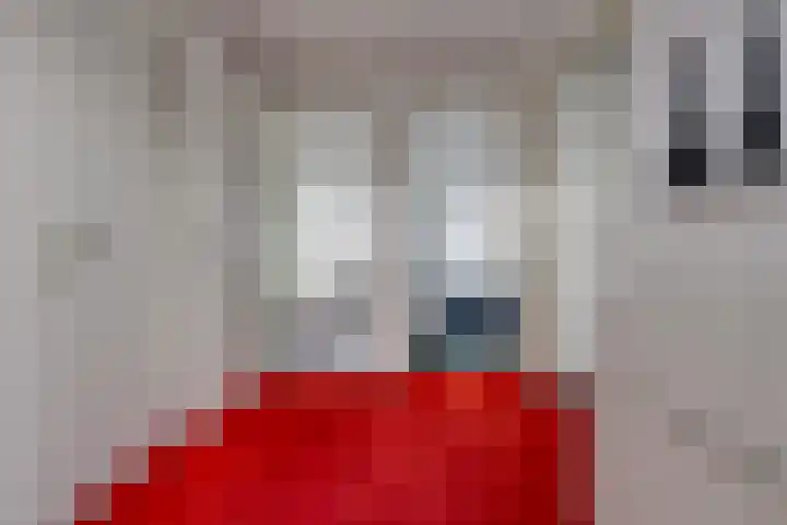 Johannes Vermeerlaan 17 A Musselkanaal thumbnail 39