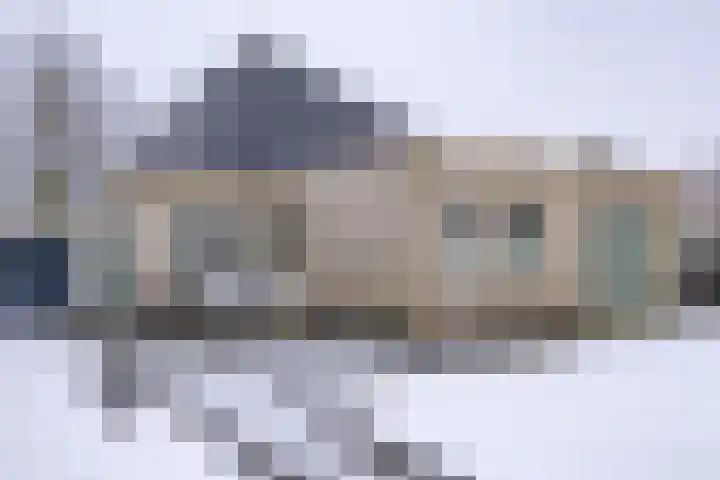 Johannes Vermeerlaan 17 A Musselkanaal thumbnail 4