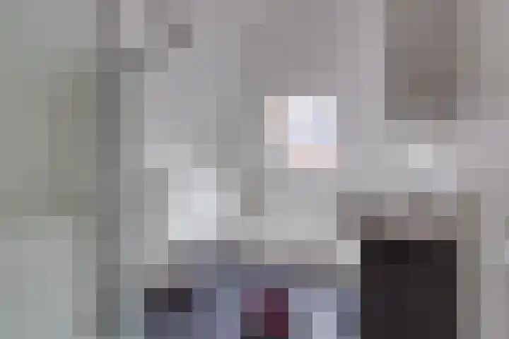 Johannes Vermeerlaan 17 A Musselkanaal thumbnail 40