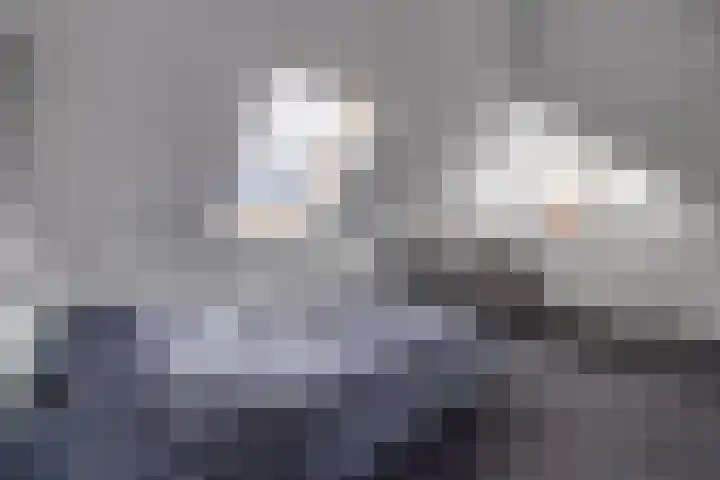 Johannes Vermeerlaan 17 A Musselkanaal thumbnail 43
