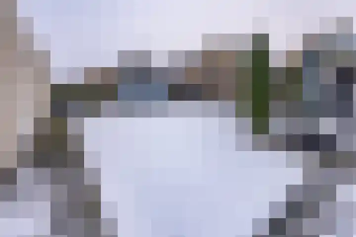 Johannes Vermeerlaan 17 A Musselkanaal thumbnail 48
