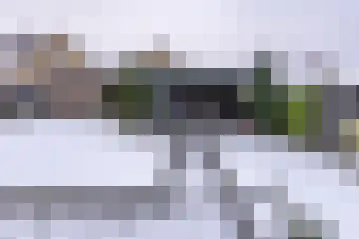 Johannes Vermeerlaan 17 A Musselkanaal thumbnail 5
