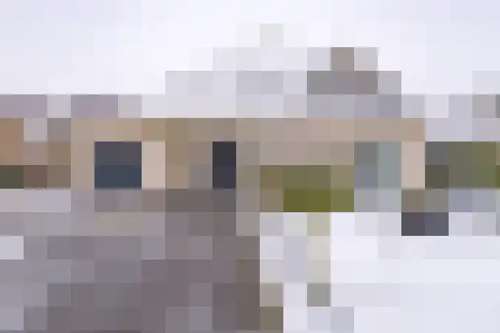 Johannes Vermeerlaan 17 A Musselkanaal thumbnail 6
