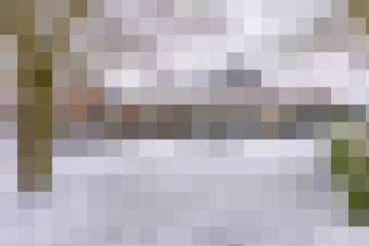 Johannes Vermeerlaan 17 A Musselkanaal thumbnail 8