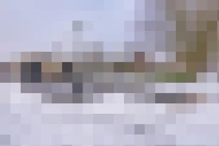 Johannes Vermeerlaan 17 A Musselkanaal thumbnail 9
