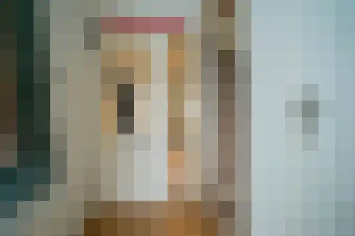 Johannes Vermeerlaan 2 Helmond thumbnail 13