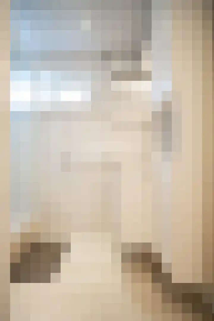 Johannes Vermeerlaan 2 Helmond thumbnail 16