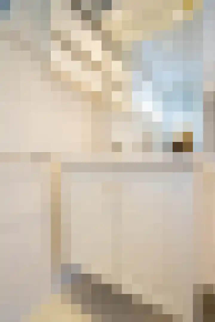 Johannes Vermeerlaan 2 Helmond thumbnail 17