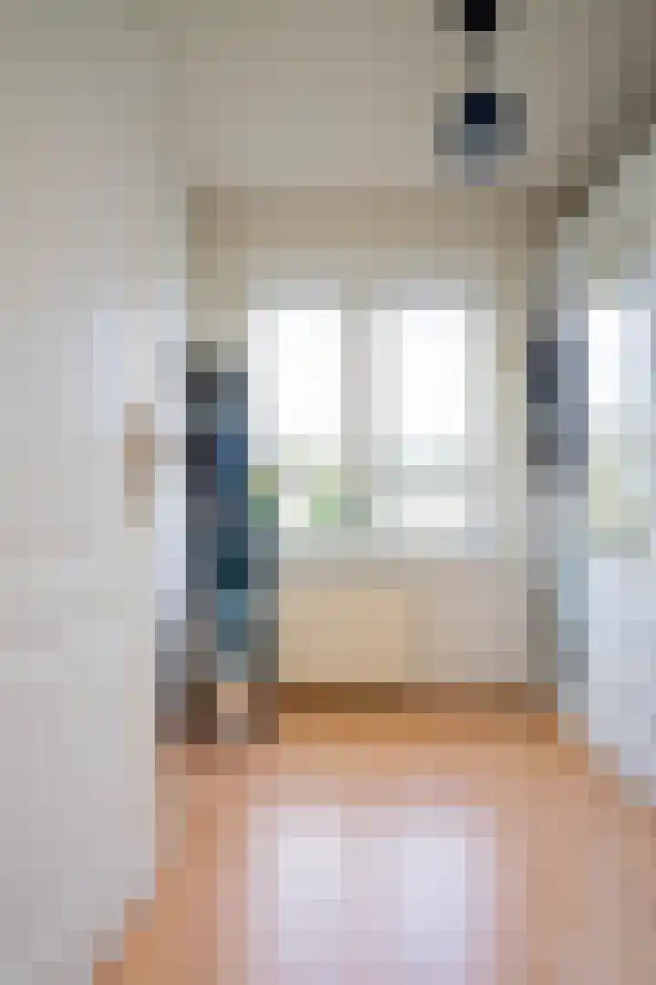 Johannes Vermeerlaan 2 Helmond thumbnail 21