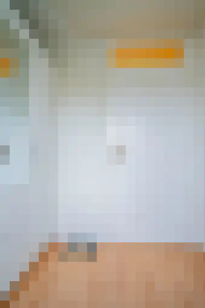 Johannes Vermeerlaan 2 Helmond thumbnail 22