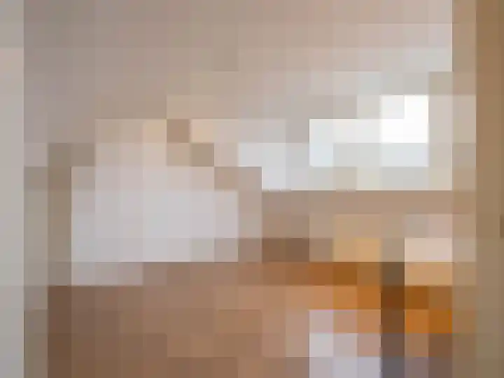 Johannes Vermeerlaan 2 Helmond thumbnail 24