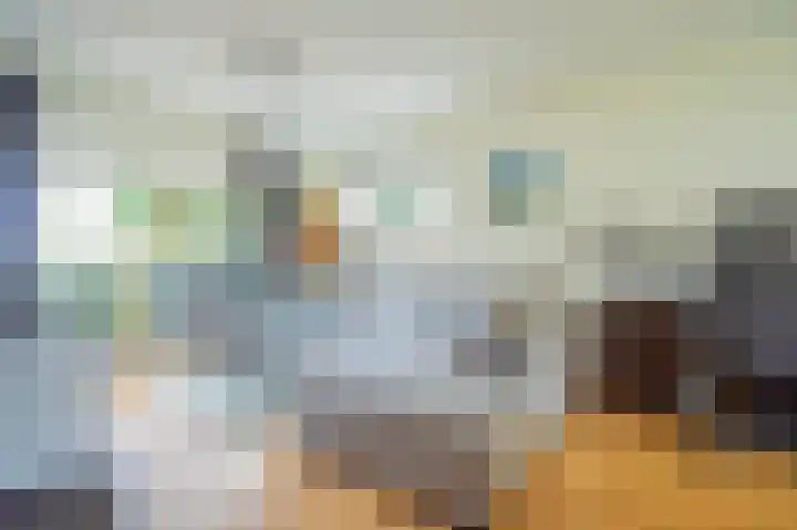Johannes Vermeerlaan 2 Helmond thumbnail 7