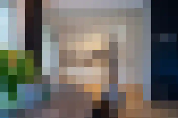 Johannes Vermeerlaan 2 Helmond thumbnail 9