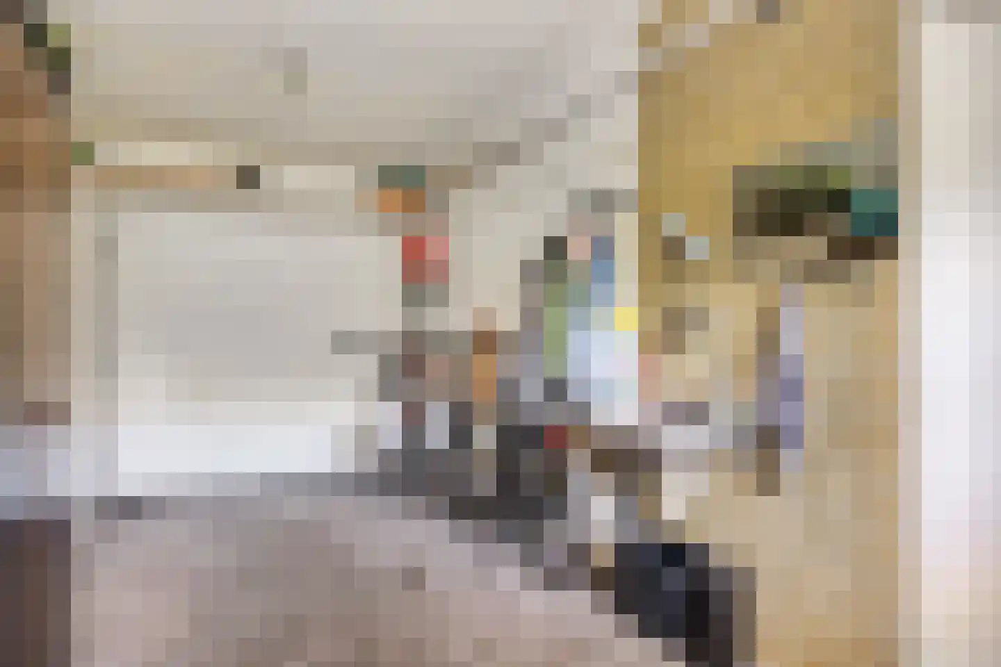 Johannes Vermeerlaan 2 Waalwijk thumbnail 18