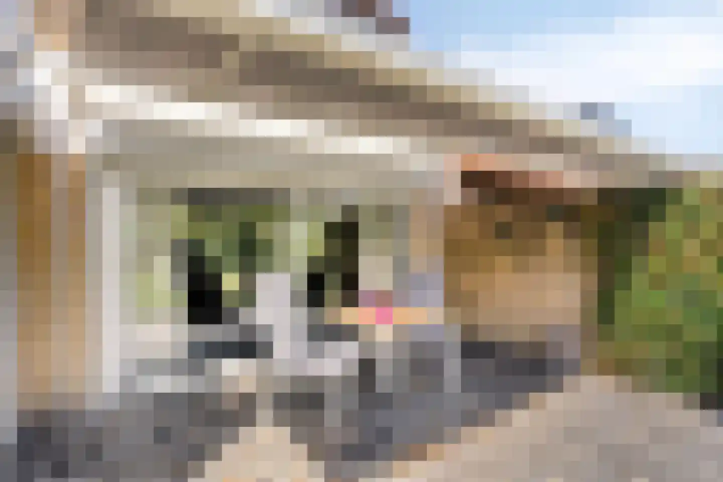 Johannes Vermeerlaan 2 Waalwijk thumbnail 32
