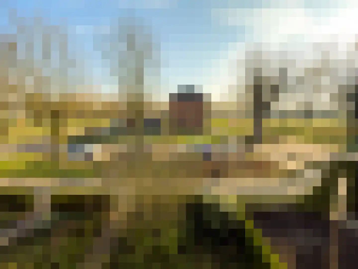 Johannes Vermeerlaan 20 Helmond thumbnail 18