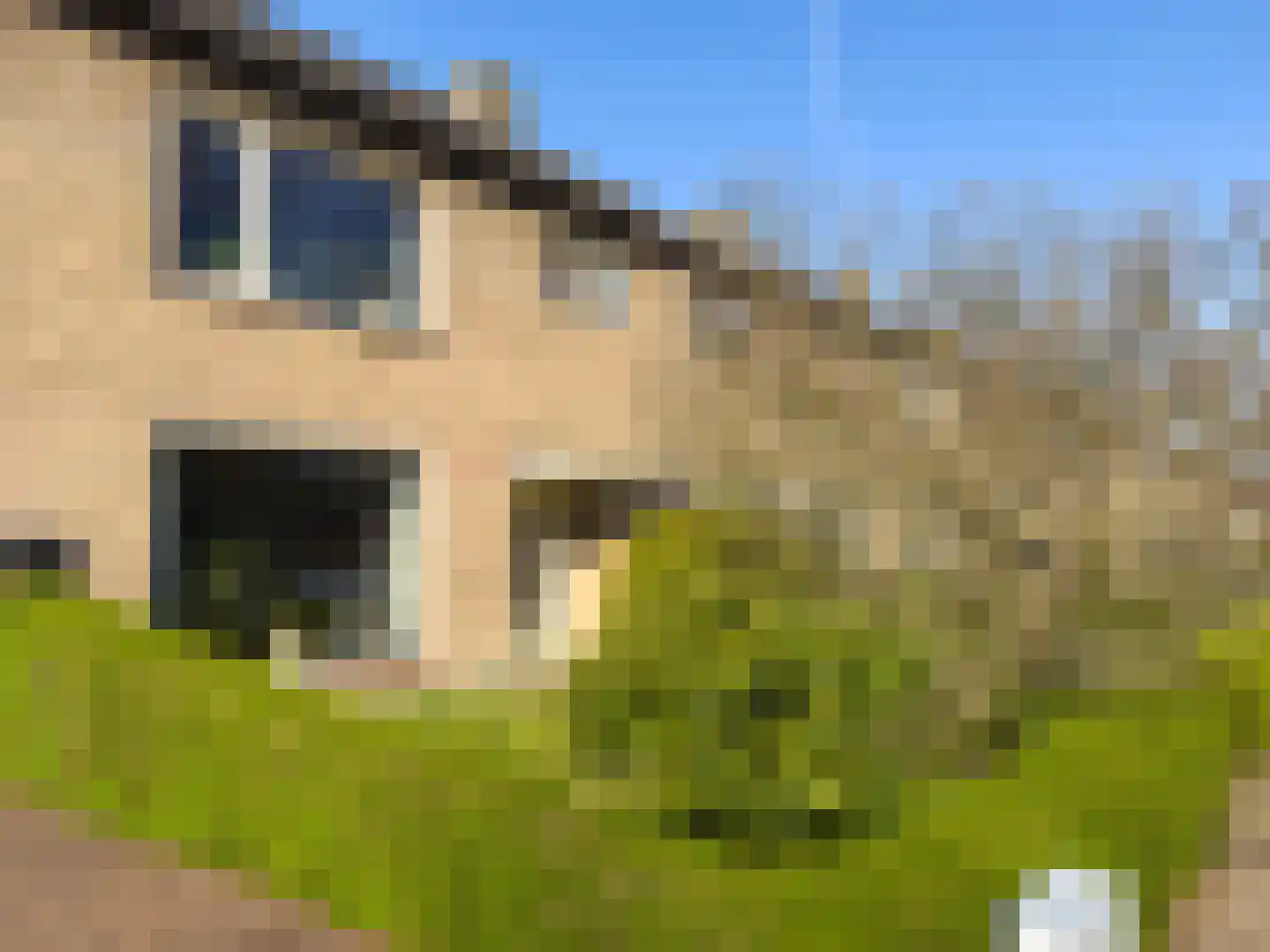Johannes Vermeerlaan 20 Helmond thumbnail 4