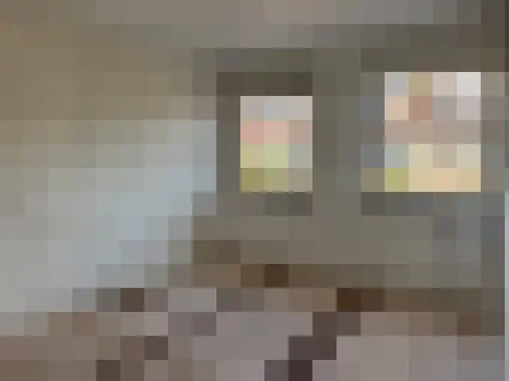 Johannes Vermeerlaan 27 Hillegom thumbnail 10