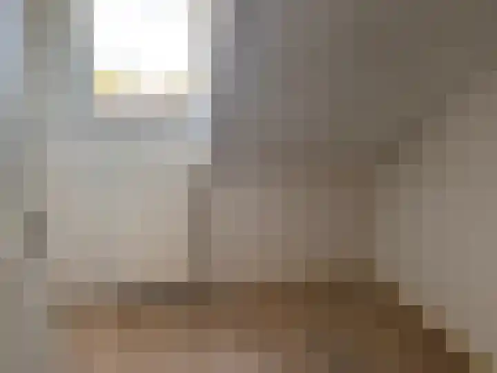 Johannes Vermeerlaan 27 Hillegom thumbnail 13