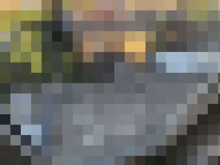 Johannes Vermeerlaan 27 Hillegom thumbnail 16