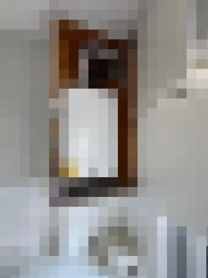 Johannes Vermeerlaan 27 Hillegom thumbnail 17