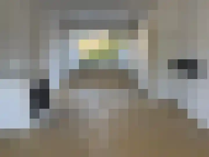 Johannes Vermeerlaan 27 Hillegom thumbnail 4