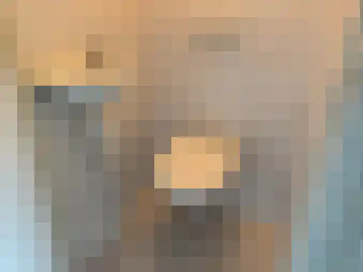 Johannes Vermeerlaan 27 Hillegom thumbnail 6
