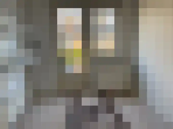 Johannes Vermeerlaan 27 Hillegom thumbnail 9