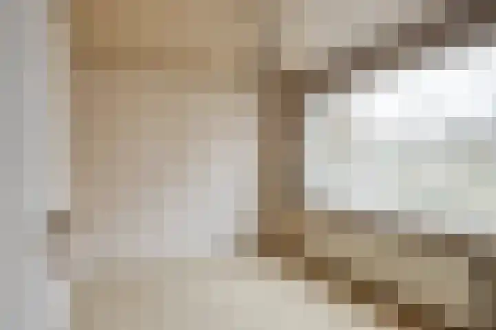 Johannes Vermeerlaan 30 Helmond thumbnail 20