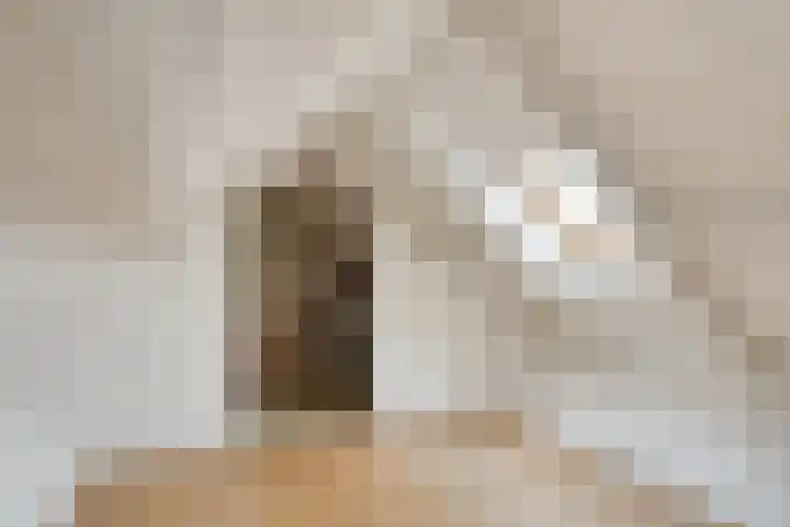 Johannes Vermeerlaan 30 Helmond thumbnail 28