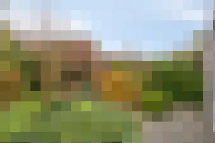 Johannes Vermeerlaan 30 Helmond thumbnail 29