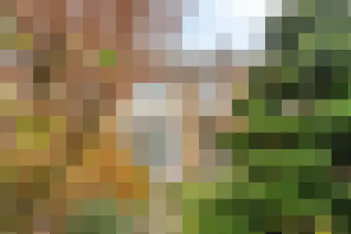 Johannes Vermeerlaan 30 Helmond thumbnail 31