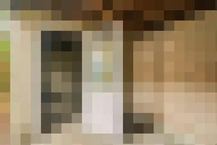 Johannes Vermeerlaan 30 Helmond thumbnail 32