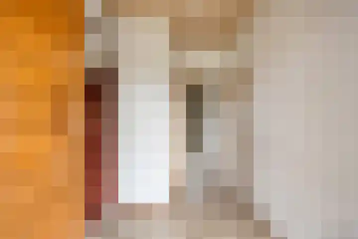 Johannes Vermeerlaan 30 Helmond thumbnail 5