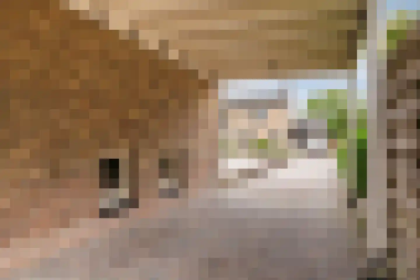 Johannes Vermeerlaan 5 Nieuwe Pekela thumbnail 151