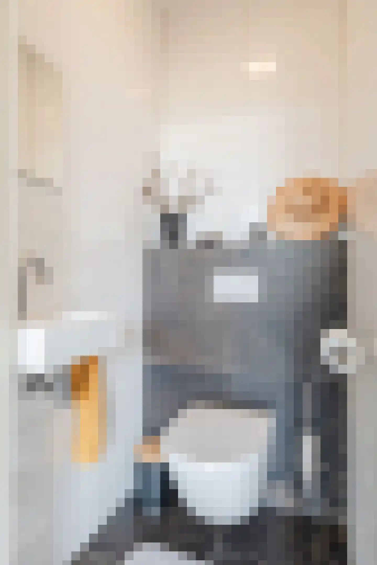 Johannes Vermeerlaan 5 Nieuwe Pekela thumbnail 25