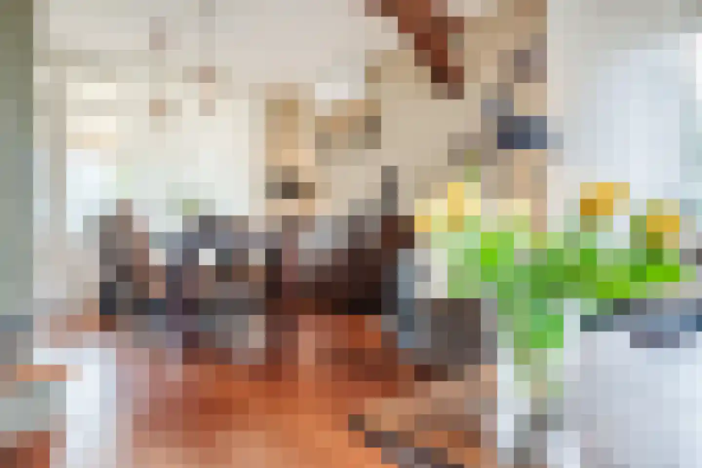 Johannes Vermeerlaan 5 Nieuwe Pekela thumbnail 33