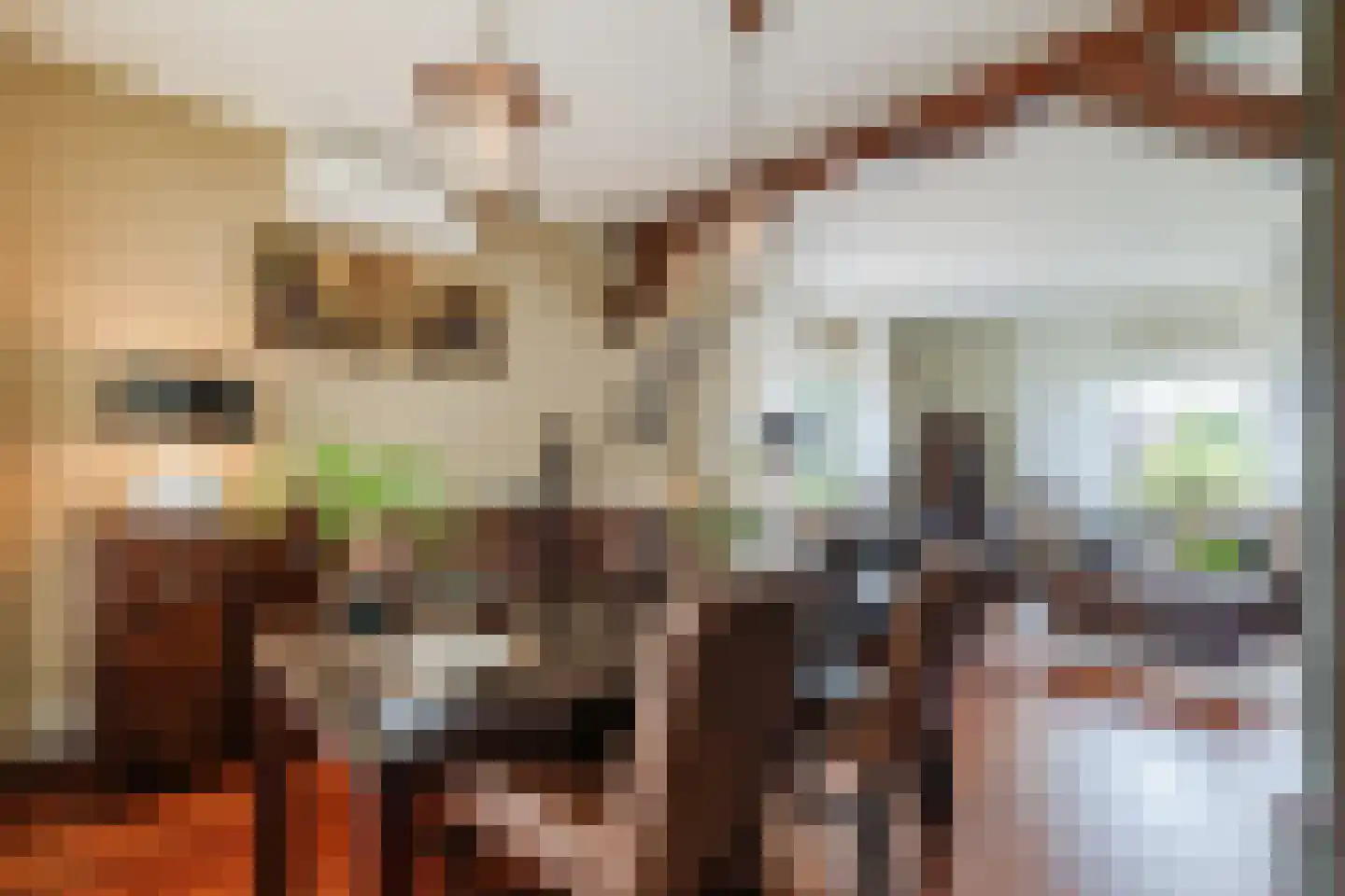 Johannes Vermeerlaan 5 Nieuwe Pekela thumbnail 41