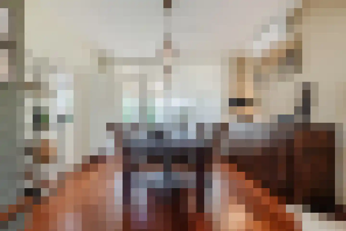 Johannes Vermeerlaan 5 Nieuwe Pekela thumbnail 43