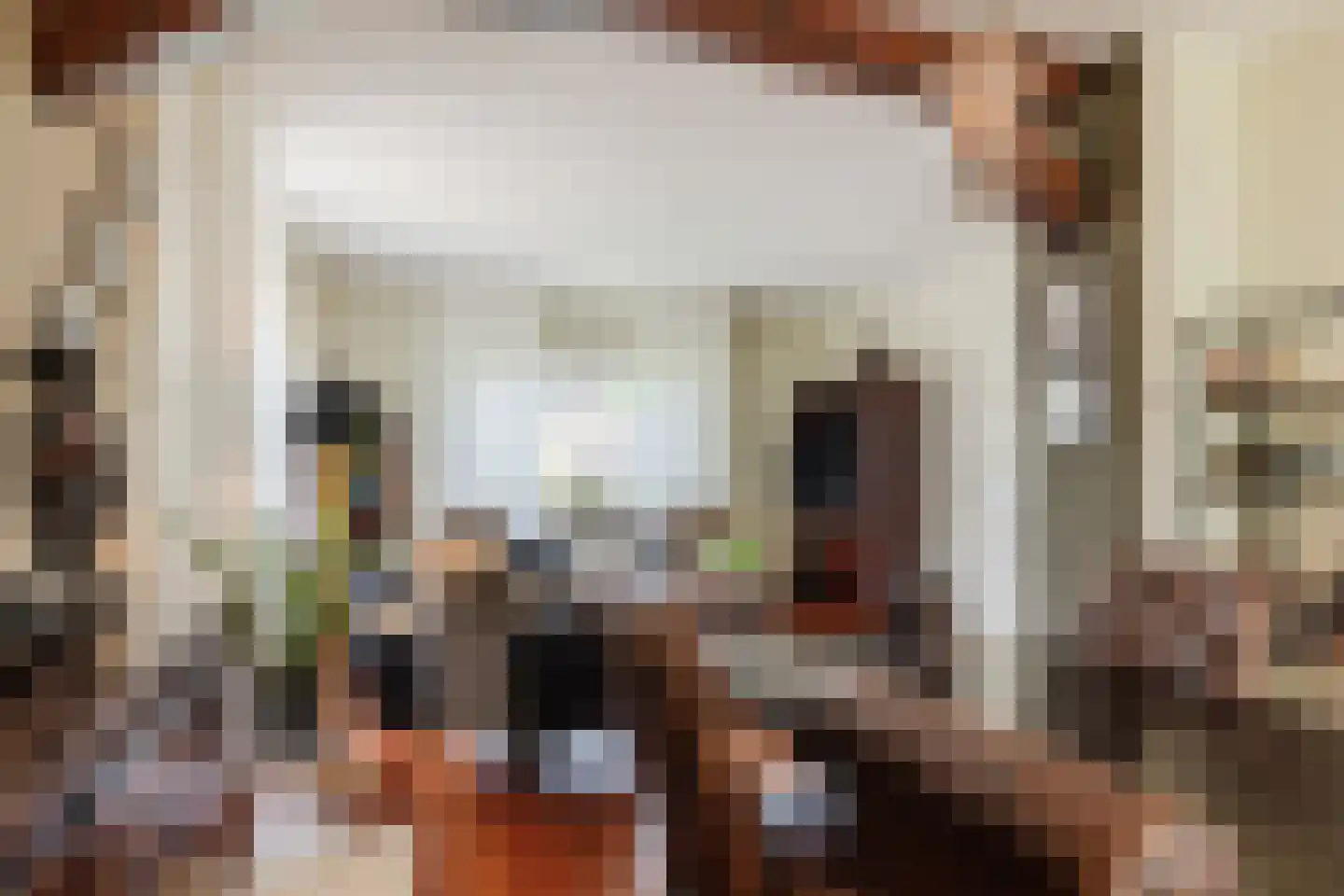 Johannes Vermeerlaan 5 Nieuwe Pekela thumbnail 49
