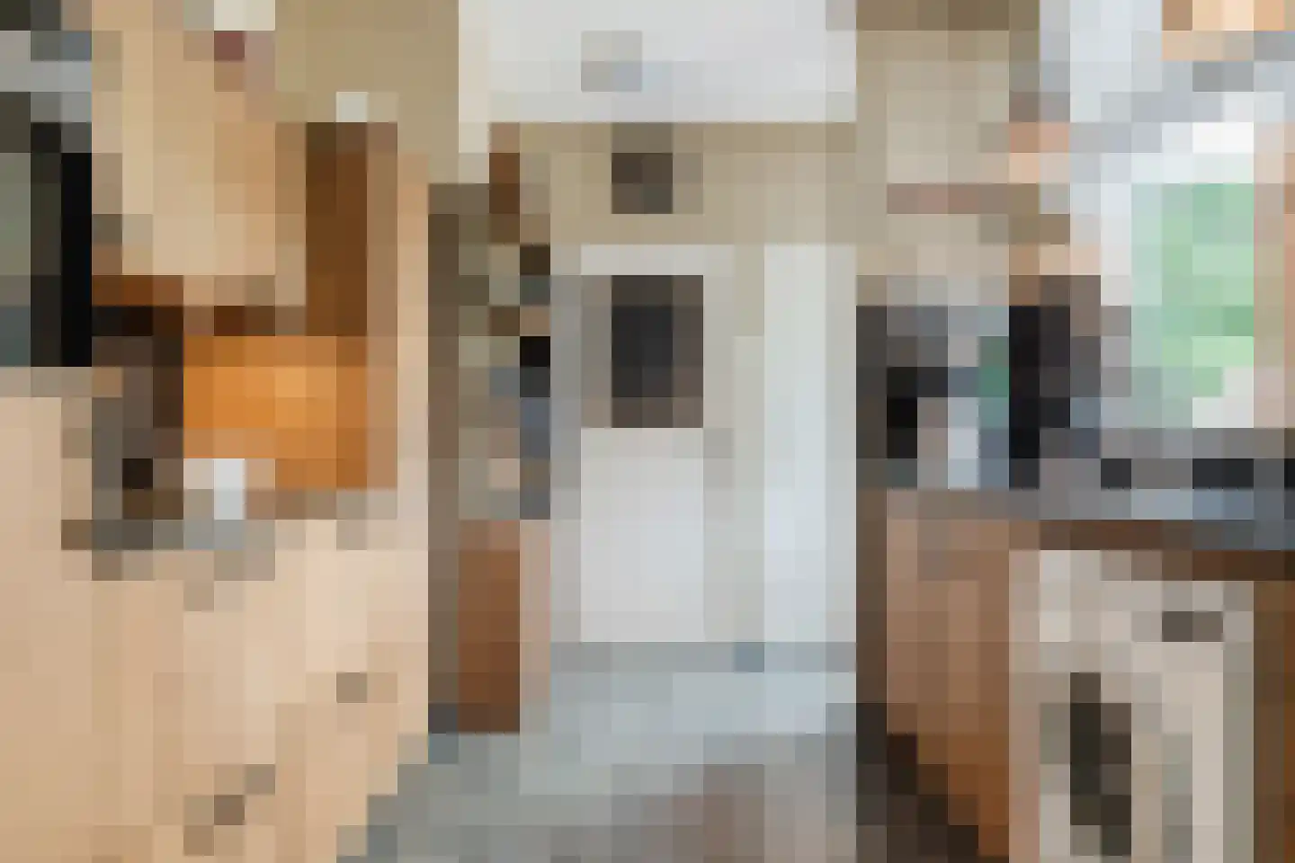 Johannes Vermeerlaan 5 Nieuwe Pekela thumbnail 53