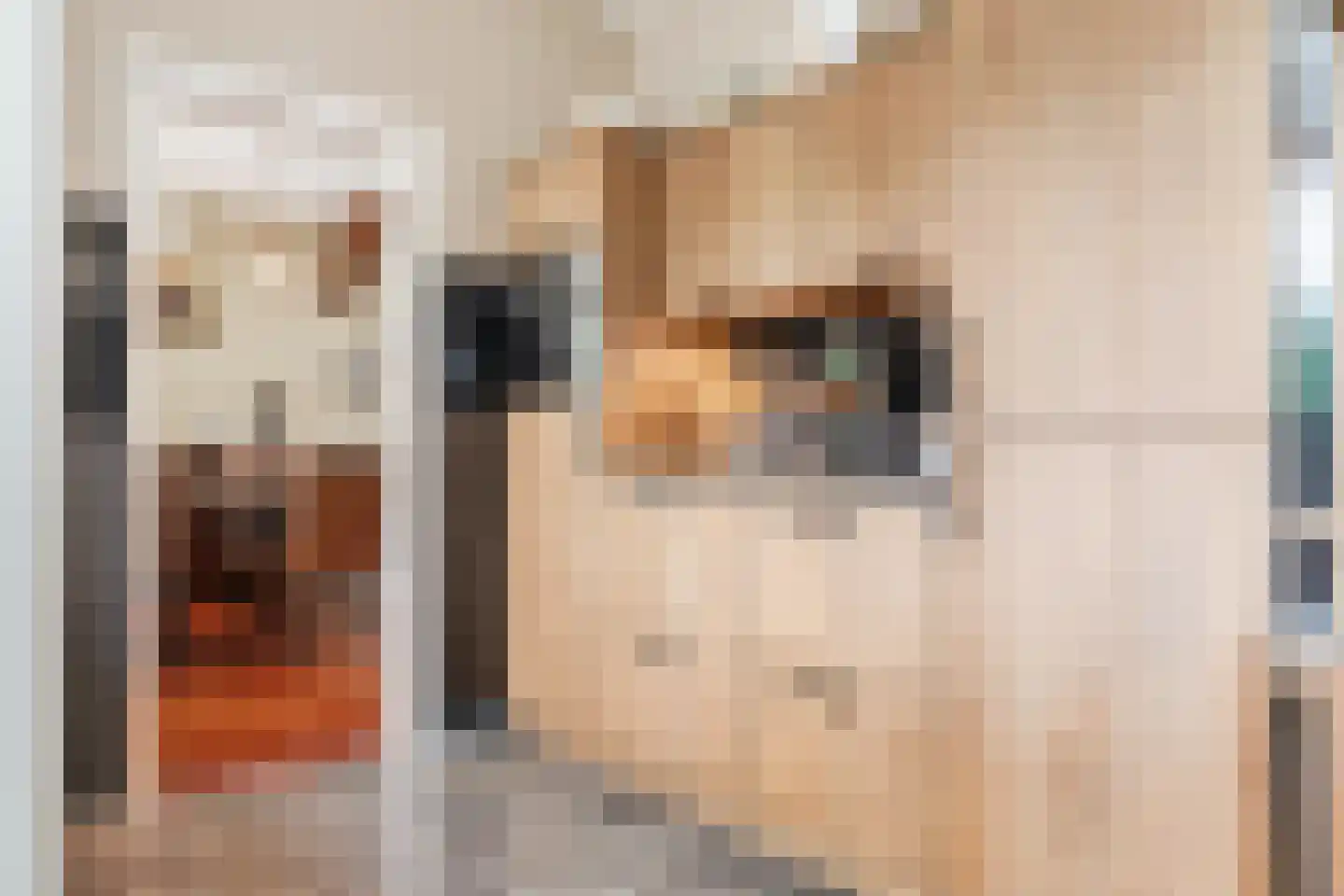 Johannes Vermeerlaan 5 Nieuwe Pekela thumbnail 56