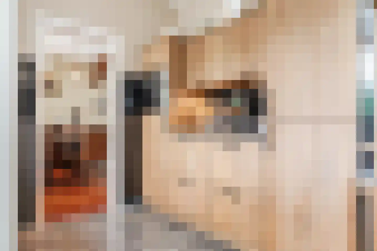 Johannes Vermeerlaan 5 Nieuwe Pekela thumbnail 59