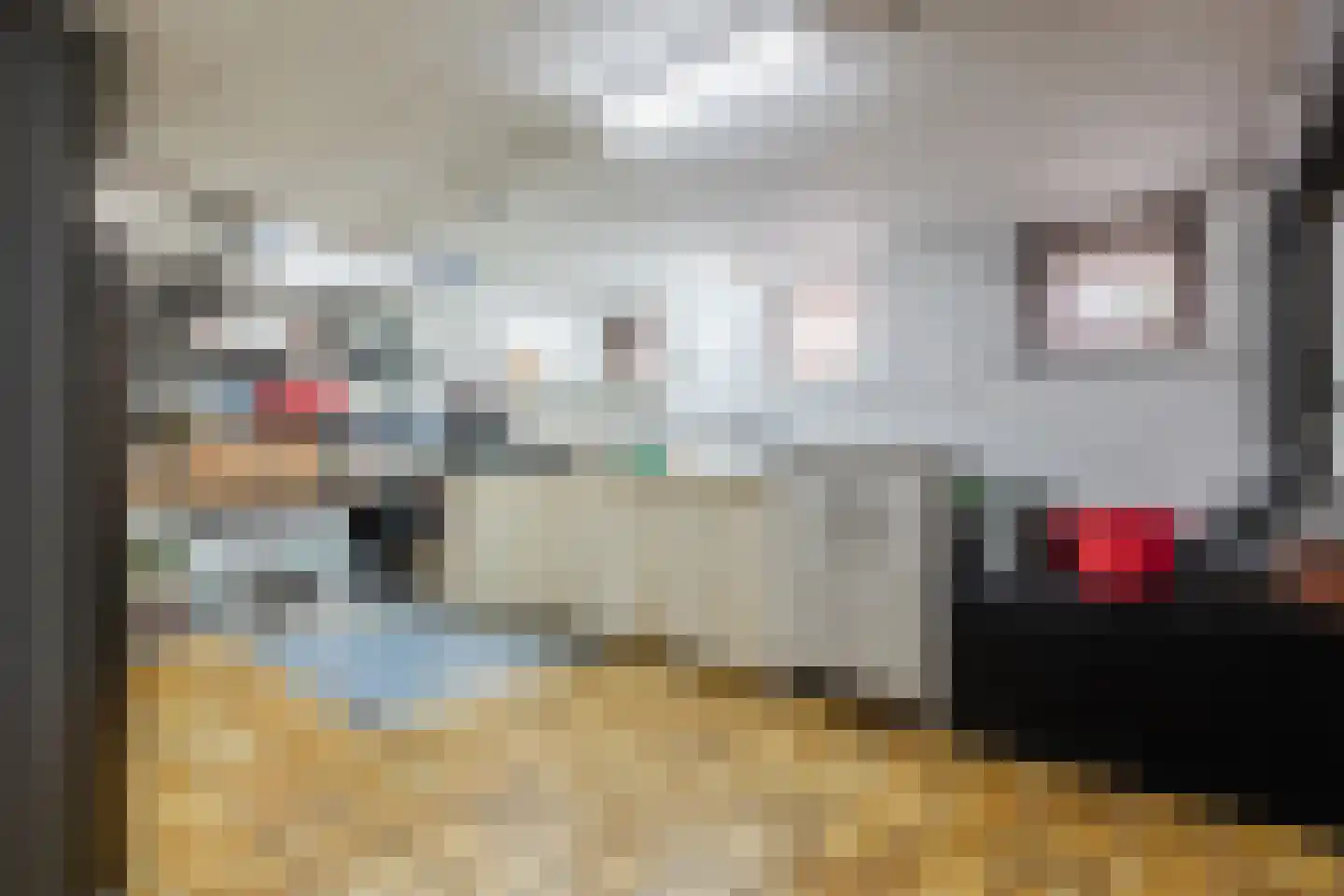 Johannes Vermeerlaan 5 Nieuwe Pekela thumbnail 64